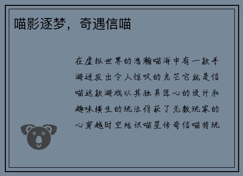 喵影逐梦，奇遇信喵